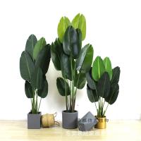 uploads/erp/collection/images/Home Garden/dgjiawang/XU0612558/img_b/XU0612558_img_b_5